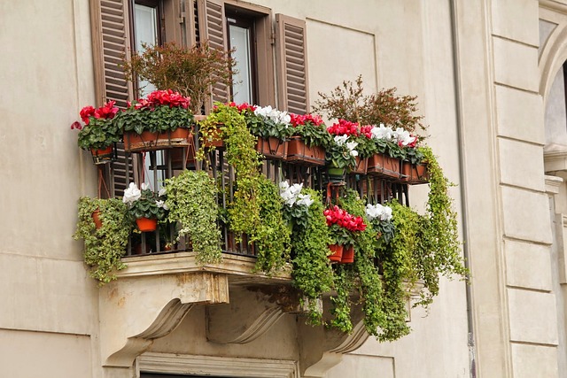 Balcony Garden Services in Mumbai