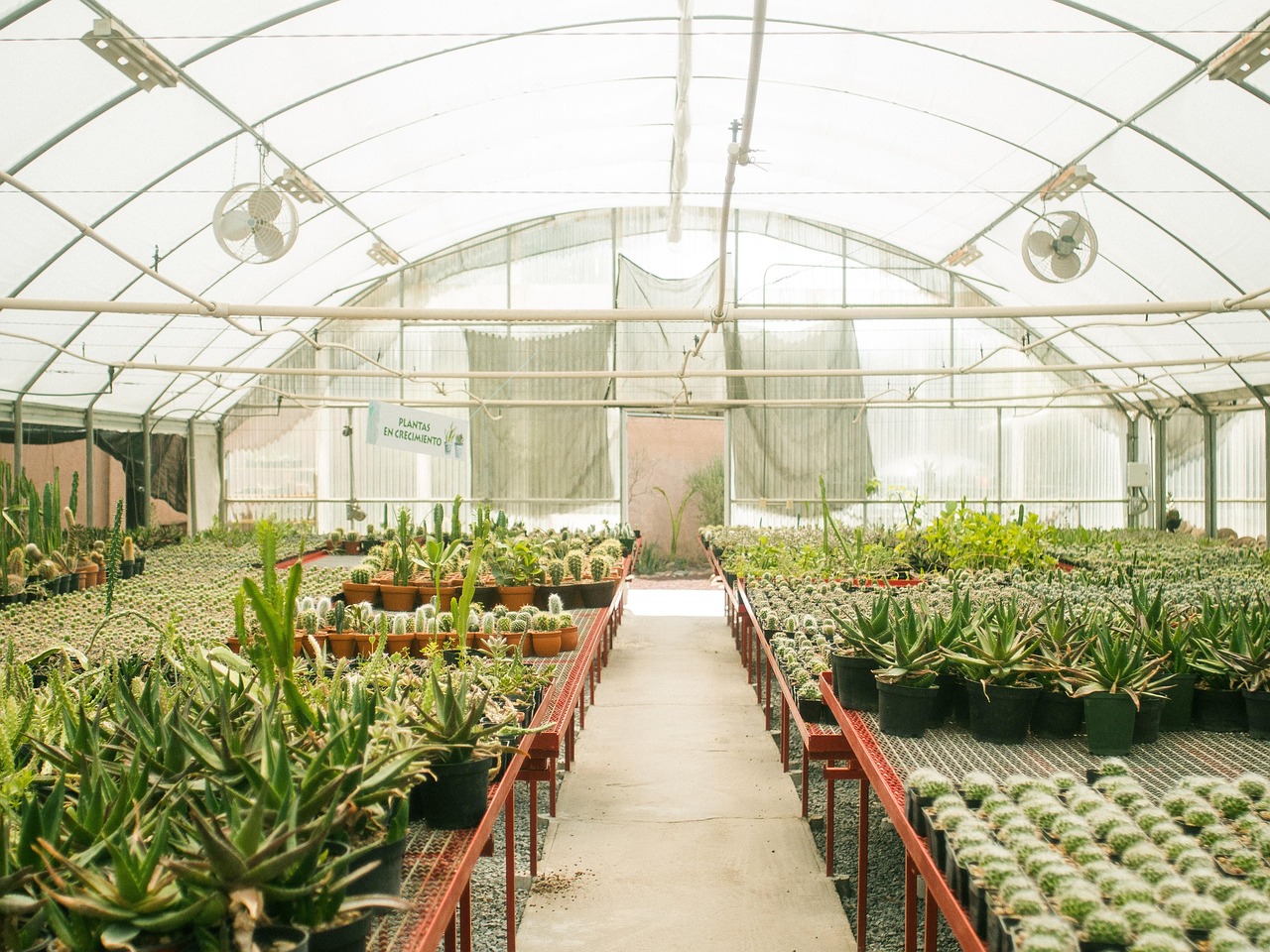 Plant Nursery in Thane