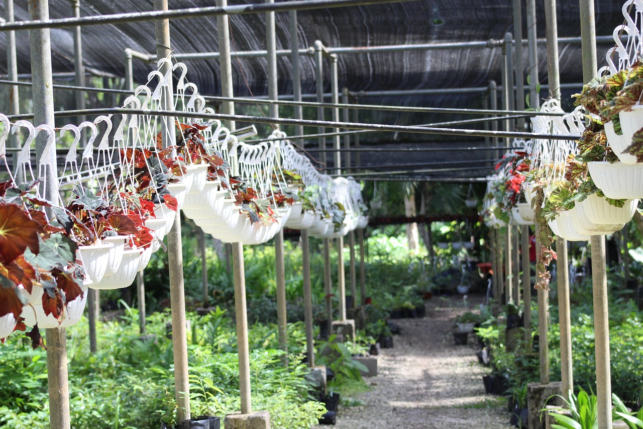 Plant Nursery in Mumbai