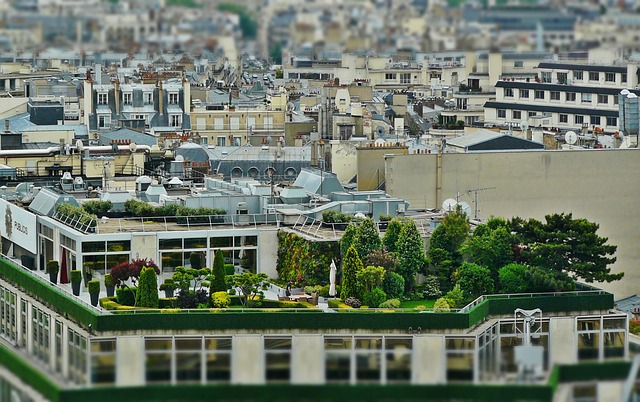 Terrace Garden Service in Mumbai